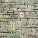 Bahçe duvarı kaplama modelleri (2)