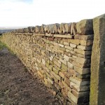 Bahçe duvarı kaplama modelleri (3)