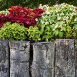 Garden in Raised Bed with Log Retaining Wall