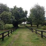 Küçük Taş Kulübe Bahçe